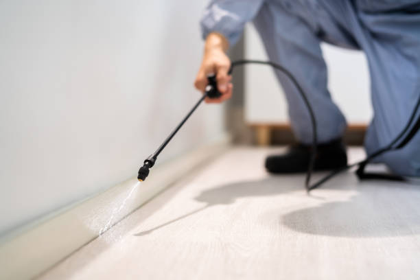 Licensed Termite Control service in Abita Springs, LA - Nex Pest Control