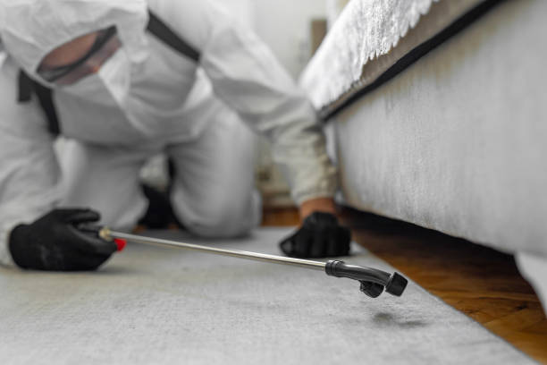 Professional Termite Control technician working in Abita Springs, LA